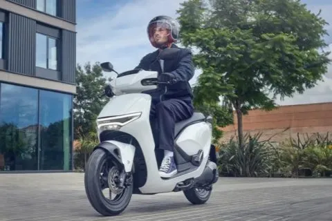 Scoopy Prestige White